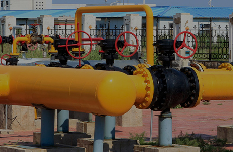 La empresa del grupo ha obtenido una licencia de producción de productos industriales