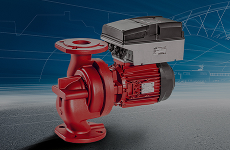 Certificado de calificación crediticia [nivel AAA]